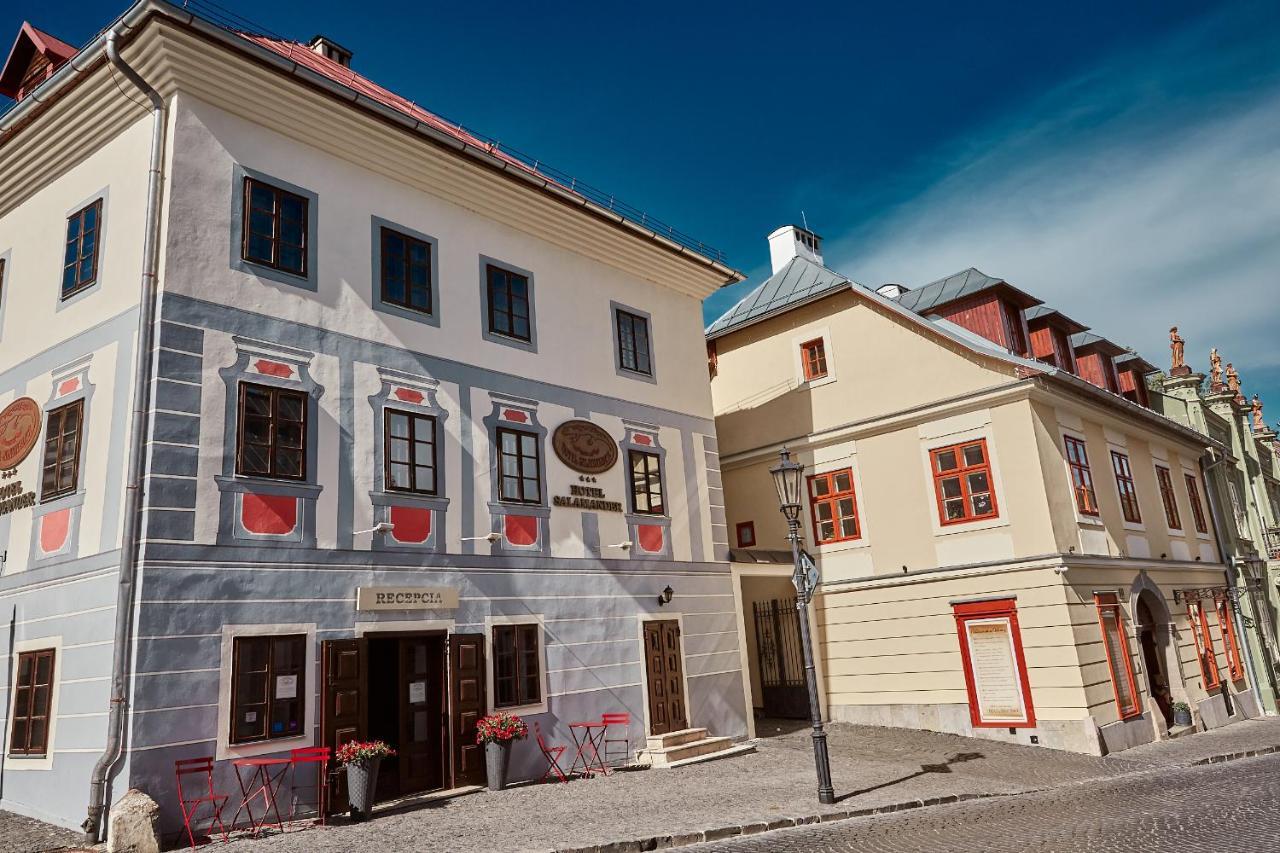 Hotel Salamander Banska Stiavnica Exterior foto